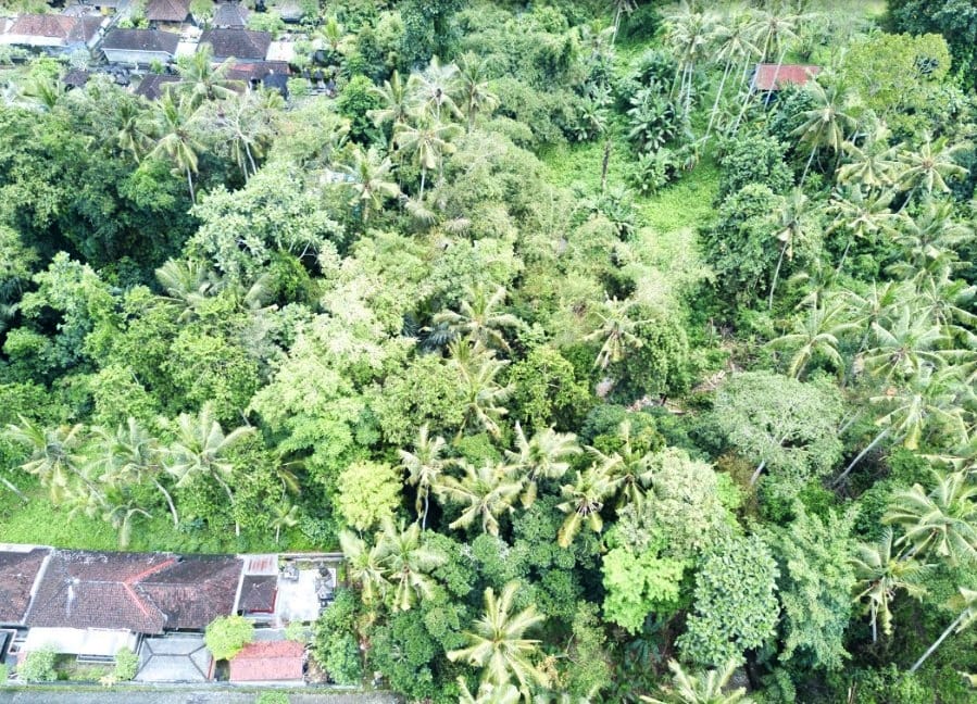 LLUbud39  |  Indo Investments